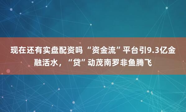 现在还有实盘配资吗 “资金流”平台引9.3亿金融活水，“贷”动茂南罗非鱼腾飞