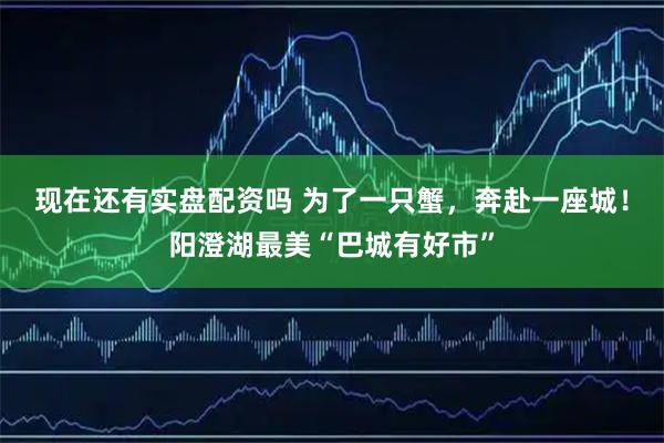 现在还有实盘配资吗 为了一只蟹，奔赴一座城！阳澄湖最美“巴城有好市”