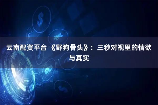 云南配资平台 《野狗骨头》：三秒对视里的情欲与真实